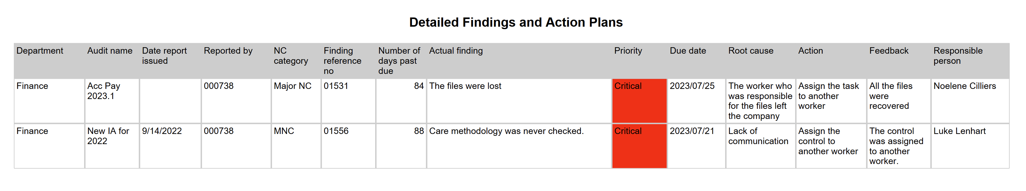 detailed_findings_and_action_plans_report.png